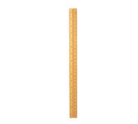 RiToEasysports Règle D'échelle D'ingénieur Multifonction en Aluminium Robuste pour les Professionnels du Dessin D'architecture 30 Cm (GOLD)