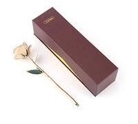 RiToEasysports Rose à Longue Tige Trempée en Or 24 Carats, Ornement d'amour éternel, fabriqué à la Main pour la Célébration d'un Anniversaire