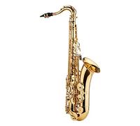 RiToEasysports Saxophone Ténor Sib Corps en Laiton avec Laque Dorée avec étui de Transport et Kit de Nettoyage pour Embout Buccal pour étudiants et Adultes