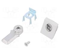 RITTAL 2420000 Serrure