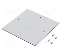 RITTAL 9548000 Plaque de montage