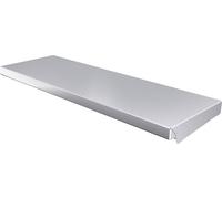 Rittal AX 2473.010 2473010 (L x l) 600 mm x 210 mm acier inoxydable 1 pc(s)