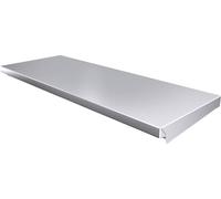 Rittal AX 2474.010 2474010 (L x l) 760 mm x 300 mm acier inoxydable 1 pc(s)