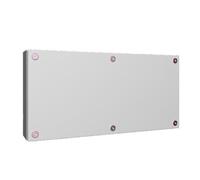 RITTAL Boîte à bornes ST 600x300x120mm AP IP66