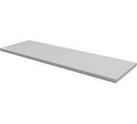 Rittal CX 6730.920 Plaque de montage Tôle dacier gris (RAL 7035) 1 pc(s)