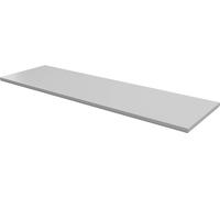 Rittal CX 6730.970 Plaque de montage Tôle dacier gris (RAL 7035) 1 pc(s)