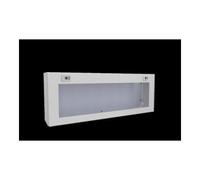 RITTAL RITTAL Boîtier de bus KX 1613.100 avec plaque de montage 800 x 300 x 155 mm Quantité:1