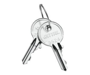 RITTAL Rittal Clé universelle SZ 2549.500 Quantité:1