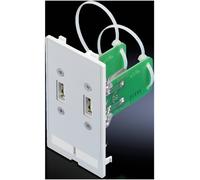 Rittal SZ 2482.540 Volet dinterface USB-A Fonte gris graphite (RAL 7024) 1 pc(s) Piece