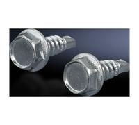 Rittal SZ 2487.000 Vis de fixation vis autotaraudeuse Tôle d'acier 300 pc(s)