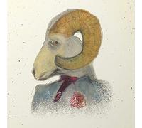 RITTER,JOSH - See Here, I Have Built You A Mansion (Pink Marble Vinyl) [Vinyl LP]