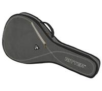 Ritter Ritter RGS3 Mandola SGL