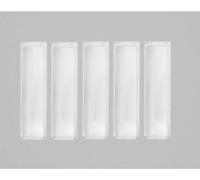 Ritto by Schneider 1228736 Cache pour plaque nominative