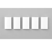 Ritto by Schneider 1269691 Accessoire pour interphone