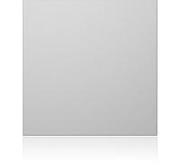 Ritto by Schneider 1876620 Accessoire pour interphone argent