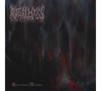 Ritual Mass Cascading Misery (Vinyl) 12" Album