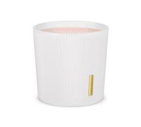 RITUALS Bougie parfumée The Ritual of Sakura - Avec fleur de cerisier douce et lait de riz - Parfum durable - Durée de combustion jusqu'à 70 heures - 1 x 840 g