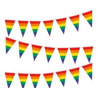 Riuulity Banderole de Fanion Arc-en-ciel Vibrant, Décoration de Jardin Accrocheuse pour la Célébration du Mois de la fierté, Banderole en Polyester à 30 Côtés de 10 M (#1)