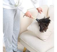 Riuulity Brosse de Dépoussiérage en Plumes D'autruche Douce, Facile à Nettoyer dans les Coins, Facile à Saisir pour Meubles Haut de Gamme, Calligraphie Antique (Couleur assortie)