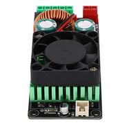 Riuulity Carte Amplificateur Haute Puissance Mono Canal Type D Professionnel 500W pour Les Amateurs D'audio PCB Léger et Compact