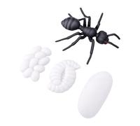 Riuulity Ensemble de Figurines du Cycle de Vie des Fourmis, Modèle Réaliste | Jouets Scientifiques éducatifs pour Enfants, Figurines de Scène de Croissance D'insectes en Plastique pour L'enseignement