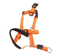 Riuulity Harnais de Tête de Chien Respirant, Collier de Tête Anti-Morsure en Nylon Réglable pour Chiens, Couverture de Bouche de Chien D'extérieur (XL)