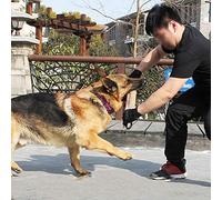 Riuulity Jouet de Morsure de Chien en Chanvre Naturel Grossier, Résistant à la Déchirure, pour Le Dressage des Chiens, avec 2 Poignées, pour Une Interaction Quotidienne, 30x8cm (comme montré)