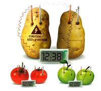 Riuulity Kit Scientifique éducatif D'horloge de Pomme de Terre, Expérience de Bricolage écologique pour Les Enfants de 6 Ans et Plus, Conception Durable (comme montré)