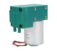 Riuulity Mini Pompe à Vide Portable DC12V, Grand Débit, Faible Bruit, 10l/min, -65~150kpa, pour les Activités de Plein Air (DC12V)