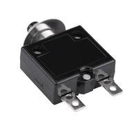 Riuulity Protecteur de Surcharge à Réinitialisation Manuelle, Disjoncteur Compact et Durable 8A pour L'industrie Automobile, Plastique Noir (10A)