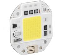 Riuulity Puce de Lumière COB, Puce LED Haute luminosité avec Faible Consommation D'énergie et Longue Durée de Vie, pour Lampe de Bricolage, Projecteur, éclairage Intérieur 220 V (100W Blanc froid)