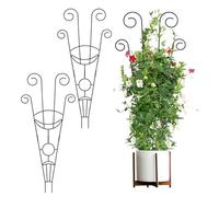 Riuulity Support de Vigne Grimpante, Treillis de Jardin en Fer pour Plantes en Pot, Support Vertical pour Roses et Vignes, Taille 76 X 30 Cm pour Votre Jardin
