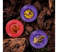 Riuulity Tiny Food Dish Lot de 12 Bols en Plastique de Couleurs Assorties pour Nourrir Les Isopodes et Les Collemboles 3,3 Cm