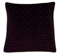Riva Accueil Quartz Plume Coussin Rempli, Polyester, Aubergine Violet/Vert Mousse, 45 X 45 Cm (18" X 18")