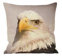 Riva Home Animal Eagle - Housse de coussin (45x45cm) (Multicolore) - UTRV133 Multicolore