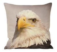Riva Paoletti Animal Eagle Cushion Cover - Animal Print Design - Faux Suede - Hidden Zip Closure - Machine Washable - 100% Polyester - 45 x 45cm (18" x 18" inches) - Designed in the UK