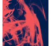 Rival Consoles - Landscape from Memory [Import]