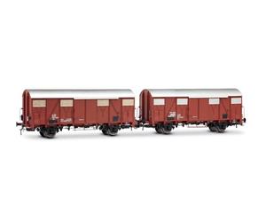 Rivarossi HR6696 FS, Coffret de 2 Wagons Ghs avec aérateurs Bas, livrée Marron, Dont Un avec Feux arrière Rouges, ép. IV Wagons de Chemin de Fer
