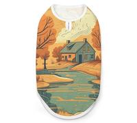 River in Front of House Chemise pour chien Séchage rapide Respirant T-shirt pour animal domestique Doux Extensible Gilet sans manches Vêtements pour chien S