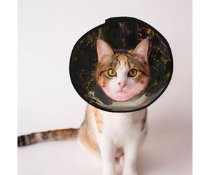 RiverMysticFlow Cônes personnalisés pour animal domestique - Design unique pour chat et chien, pour la récupération post-opératoire, cou réglable RiverMysticFlow M