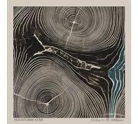 Needtobreathe - Rivers in the Wasteland [New Vinyl LP] Digital Download