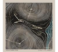 Needtobreathe – Rivers in the Wasteland – Vinyle – Import