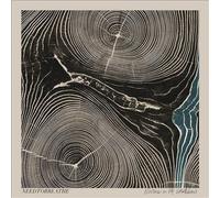 Rivers In The Wasteland (Vinyl) by NEEDTOBREATHE [VINYL] NEUF