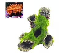 Riveryy Grotte Aquarium décor,1 pcs décors pour Aquarium,Racine Décorative pour Aquarium,décor Fish Tank,pour la décor D'aquarium en Peau de Poisson de Petite Crevette (16x10x7 cm)