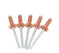 Rivet à tête bombée, Clous de traction en cuivre à tête ronde type ouvert haute résistance M2.4