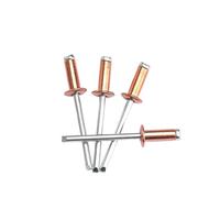 Rivet aveugle, Rivets Pop Standard aveugles ouverts en acier et cuivre, 10 pièces, M2.4 M3.2 M4 .8, Rivet décoratif(18mm,M4.8)