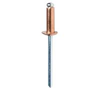 RAPID - Rivets Pop en Aluminium Ø4 x 10 mm, Revêtement Cuivré, Rivets Aveugles pour Gouttières / Tuyaux / Tôle - Foret Inclus - 50 Pièces, Emballage Carton (5001462)