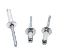 Rivet plein 10/20 pièces M2.4 M3.2 M4 M5 M6 GB12618 tête de champignon en aluminium mandrin de rupture Rivets aveugles clou Pop Rivet(M6 10pcs,10mm)