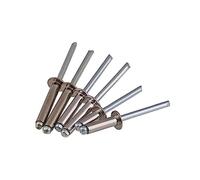 Rivets aveugles à tête large, Rivets aveugles creux à tête ronde en acier inoxydable 304, auto-obturants, lot de 45, tailles multiples(M4.0 (10pcs),6mm)