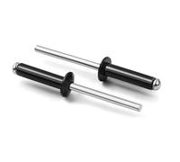 Rivets aveugles en aluminium de 3/16 po x 1/2 po noir, rivet pop de 4,8 mm x 12,7 mm, mandrin en acier avec poignée en aluminium, 100 pièces